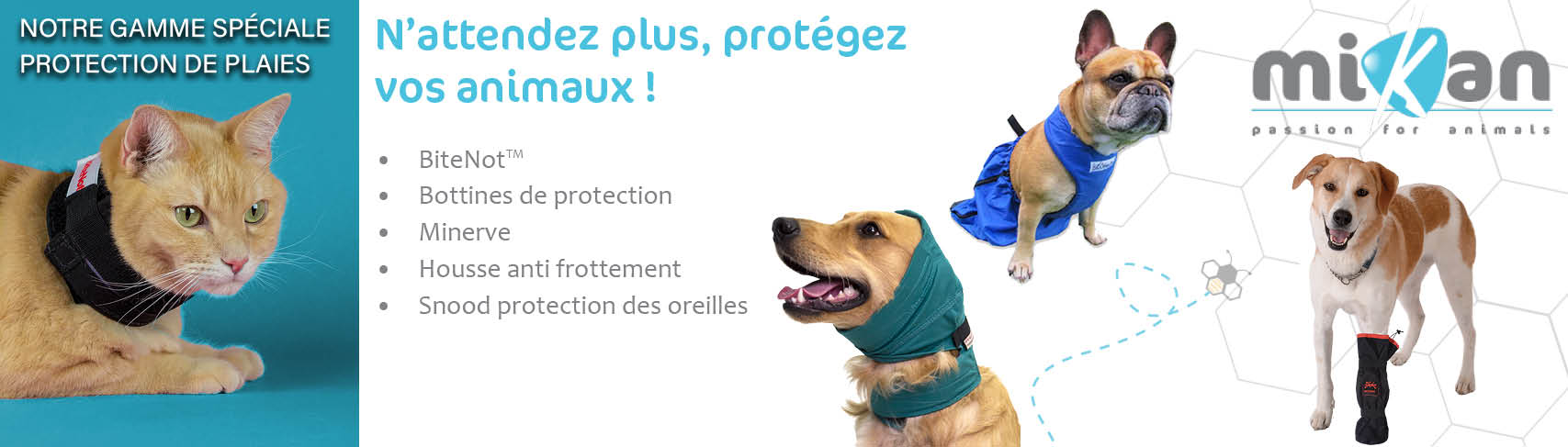 Quelles solutions pour viter que votre animal ne se l che suite